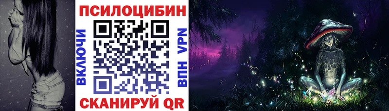 Псилоцибиновые грибы Psilocybe  Купить где  Оха 